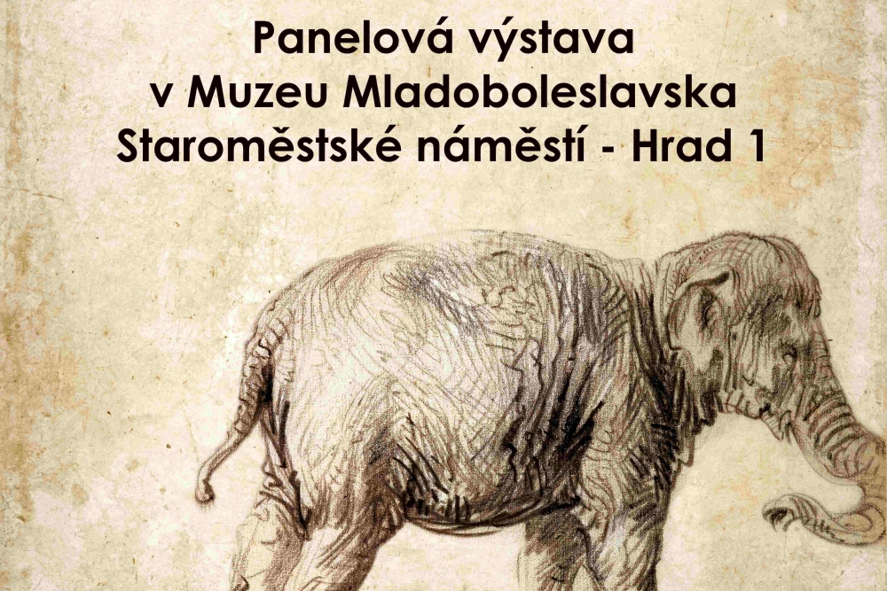 Rembrandtův slon v Mladé Boleslavi | Muzeum Mladoboleslavska Rembrandtův slon v Mladé Boleslavi | Muzeum Mladoboleslavska